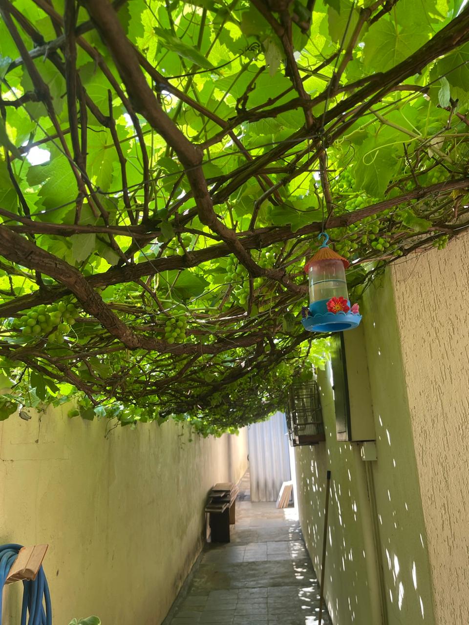 Casa no bairro São Joaquim à Venda