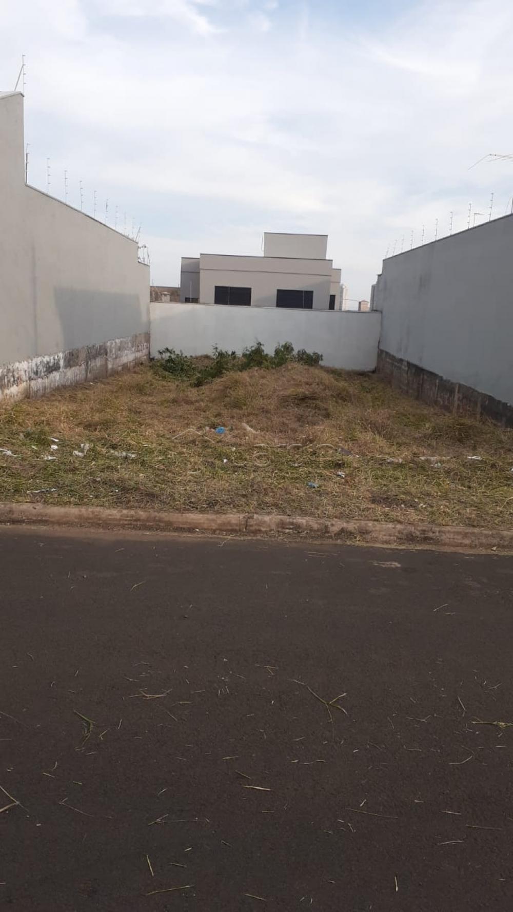 Terreno Misto a Venda no Parque Moema