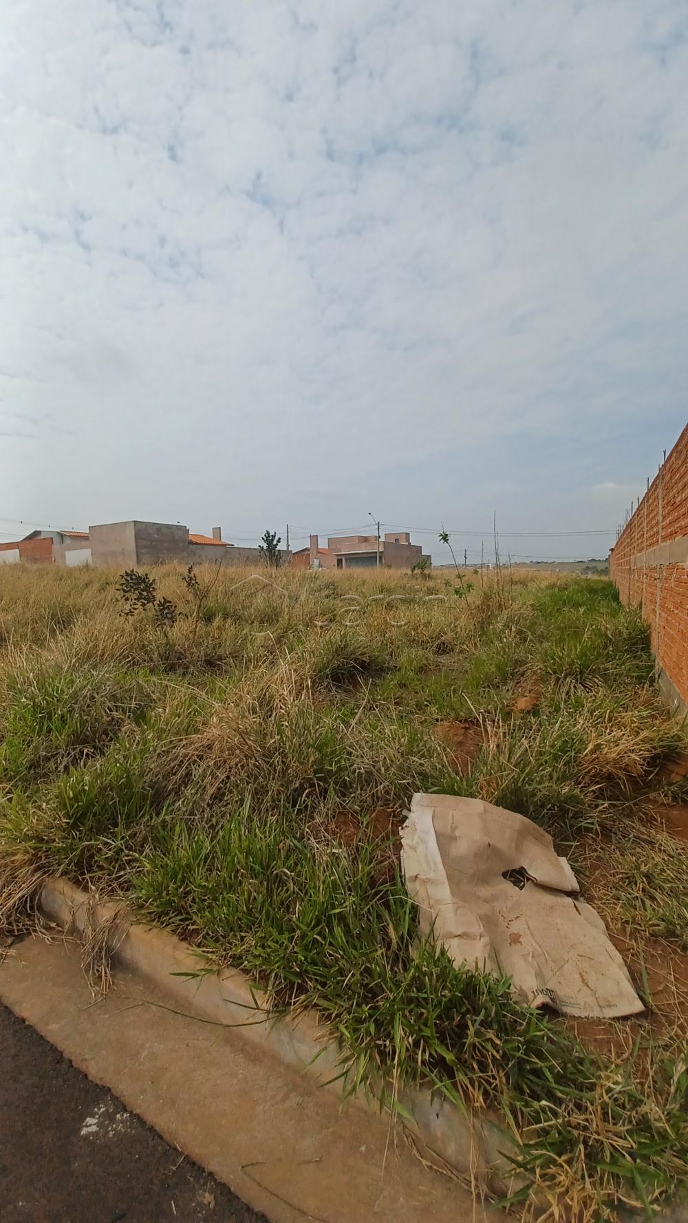 Terreno a Venda no Loteamento Quinta do Oeste