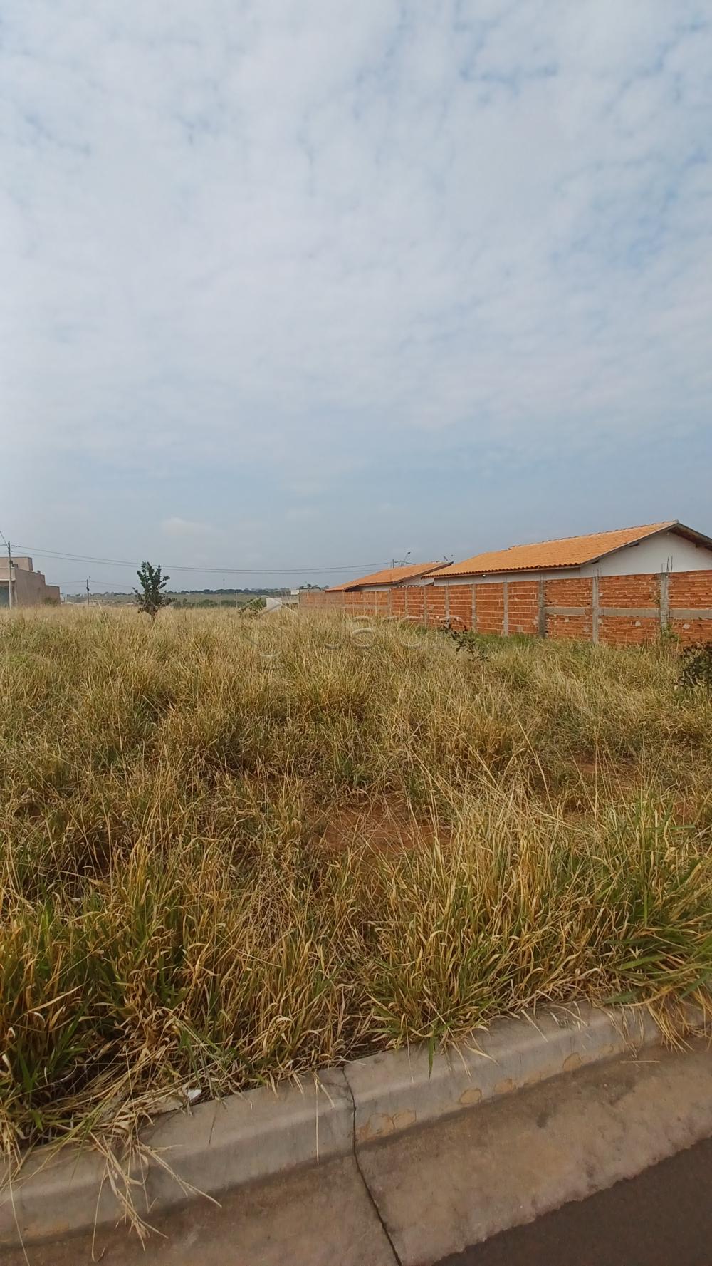 Terreno a Venda no Loteamento Quinta do Oeste