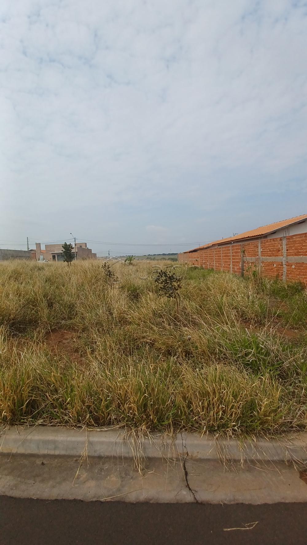 Terreno a Venda no Loteamento Quinta do Oeste
